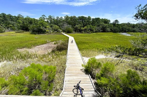 Adventurous Skidaway Island State Park hike