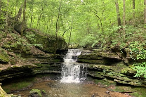 Point Rock Trail in Alabama