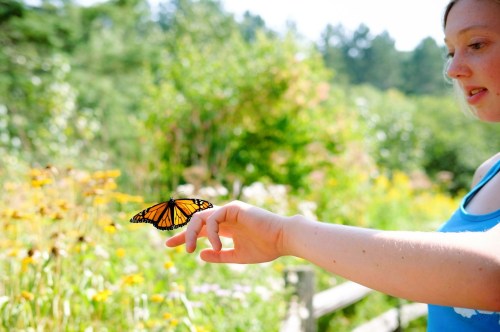 A young lady wearing a blue top standing in a meadow of flowers with a monarch butterfly perched on her left hand