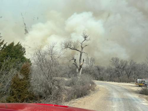 A smoky landscape with a winding road, bare trees, and a hazy sky, indicating a nearby wildfire.