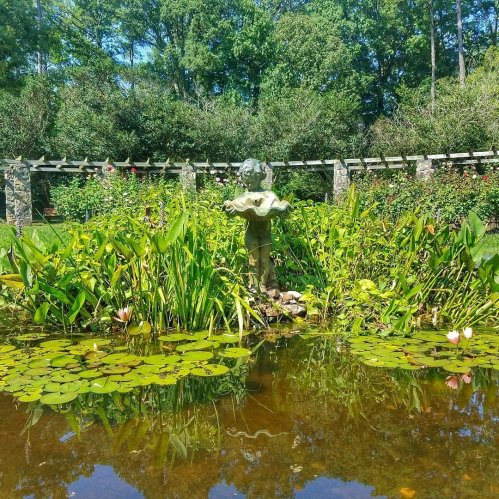 A serene garden scene featuring a statue surrounded by lush greenery and lily pads in a tranquil pond.
