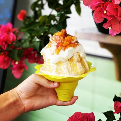 A hand holds a colorful dessert topped with cream and fruit, surrounded by vibrant pink flowers.