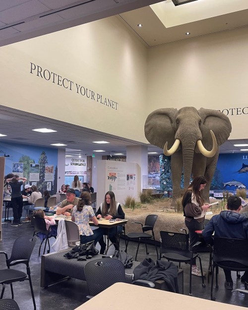 A large elephant statue in a museum lobby with people seated at tables, engaging in activities and discussions.