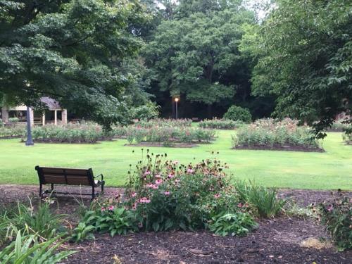 A peaceful garden scene featuring a bench, blooming flowers, and lush greenery under a cloudy sky.
