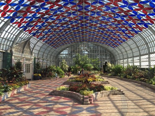 A bright greenhouse with a colorful stained glass ceiling and lush plants arranged along a winding path.