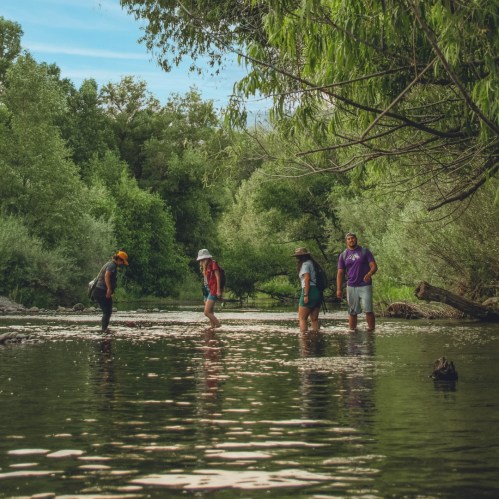 A group of people wading in a shallow river surrounded by lush greenery and trees under a blue sky.