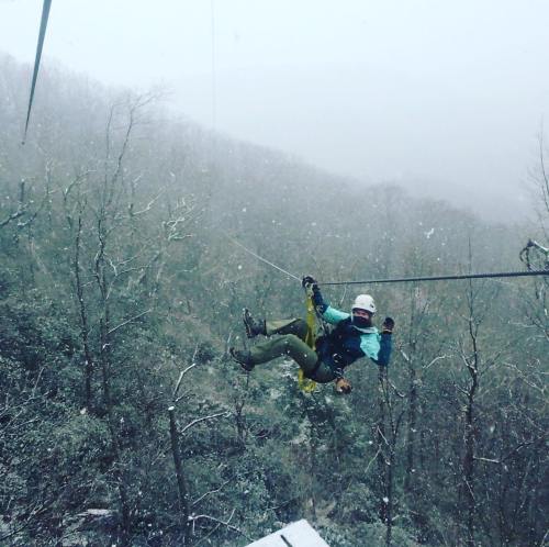 A climber suspended on a rope in a snowy forest, surrounded by bare trees and misty mountains in the background.