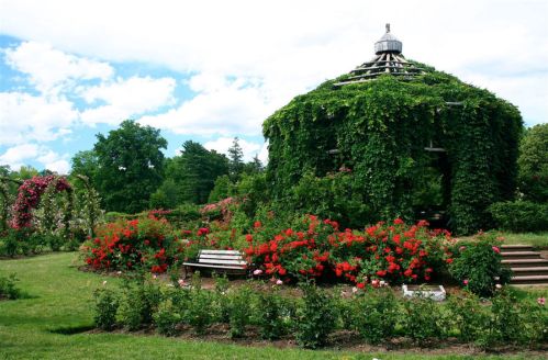A lush garden featuring a gazebo covered in greenery, surrounded by vibrant flowers and a clear blue sky.