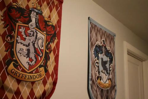 Two house banners hang on a wall: Gryffindor with a lion and Ravenclaw with an eagle, showcasing their crests.