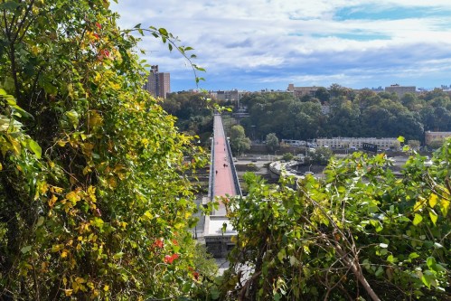 A view of a bridge surrounded by greenery, with buildings and trees in the background under a partly cloudy sky.