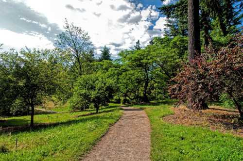 A winding gravel path through a lush green park with trees and a bright blue sky.