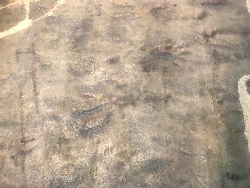 Close-up of a textured surface with faint, irregular patterns resembling footprints or markings.