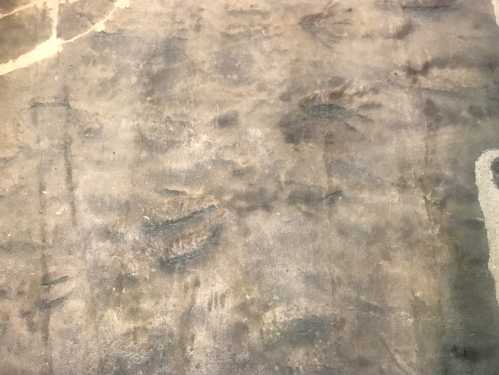 Close-up of a textured surface with faint, irregular patterns resembling footprints or markings.