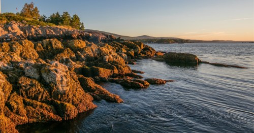 Rocky coast in Camden, Maine under a beautiful early morning sky.
