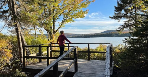 A person stands on a wooden deck overlooking a serene lake surrounded by trees and autumn foliage.