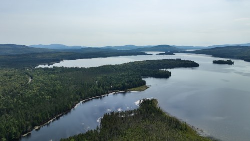 Aerial view of a serene lake surrounded by lush green forests and distant mountains under a clear sky.