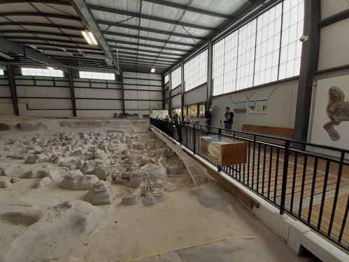 A large indoor excavation site with fossil remains, featuring a walkway and visitors observing the area.