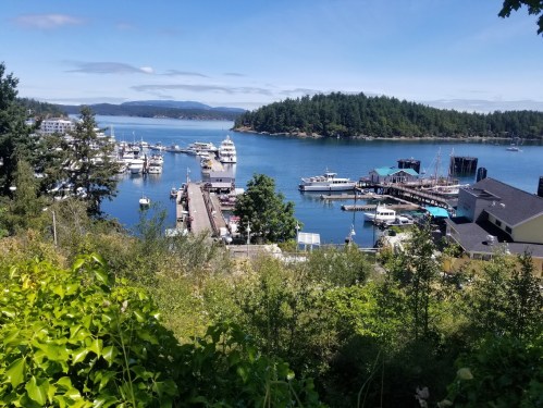A scenic view of a marina with boats, surrounded by lush greenery and hills under a clear blue sky.