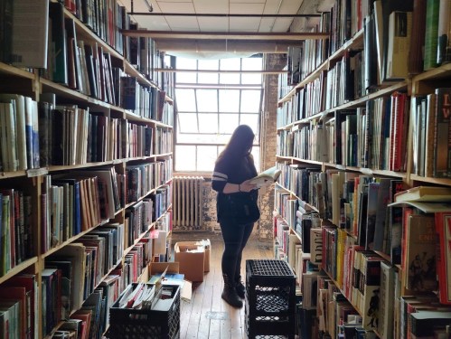 A person stands between bookshelves, reading a book in a cozy library with large windows and wooden floors.