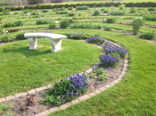 A serene garden with a curved path of purple flowers leading to a white stone bench on lush green grass.