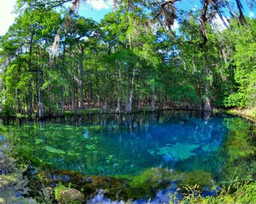 A serene, clear blue spring surrounded by lush green trees and moss-covered ground, reflecting a bright sky.