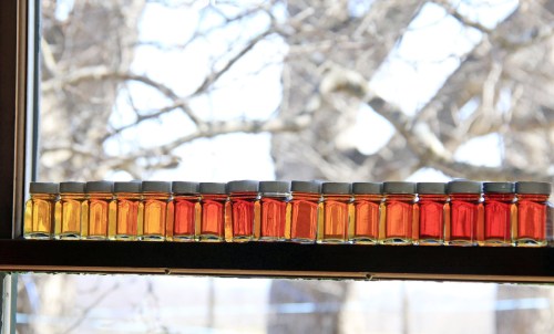 A row of small glass jars filled with various shades of amber liquid, lined up on a windowsill with trees in the background.