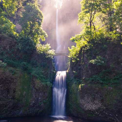 A serene waterfall cascades through lush greenery, with a bridge in the background, illuminated by soft sunlight.