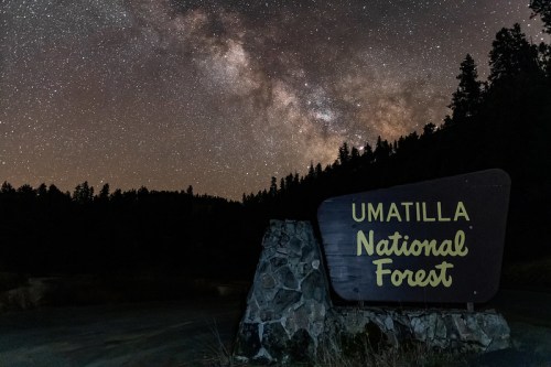 A sign for Umatilla National Forest with the Milky Way shining brightly in the night sky above.