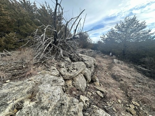 A rocky trail winds through a dry landscape with sparse trees and a cloudy sky in the background.