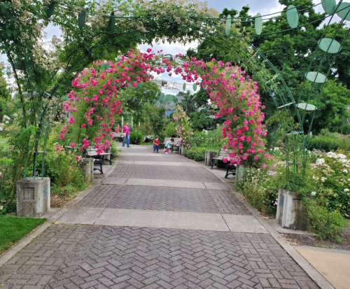 A flower-covered archway leads to a path with benches, surrounded by greenery and blooming flowers in a park.