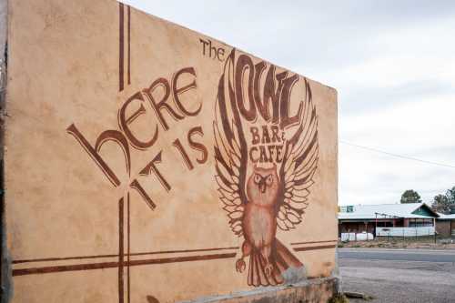 Mural on a wall featuring an owl and the text "Here it is, The Owl Bar & Cafe."