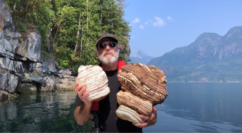 A man in sunglasses holds two large, striped rocks by a serene lake surrounded by mountains and trees.
