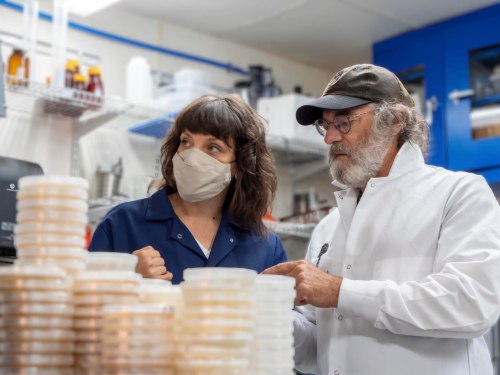 Two scientists in a lab, wearing masks, discussing over petri dishes stacked in front of them.