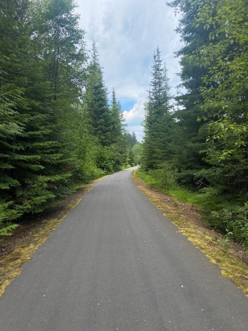 A winding path through lush green trees under a partly cloudy sky.
