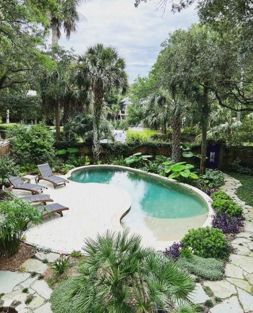 A serene backyard pool surrounded by lush greenery and tropical plants, with lounge chairs nearby.