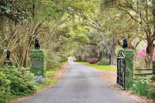 A tree-lined driveway with stone gates and lion statues, surrounded by lush greenery and blooming flowers.