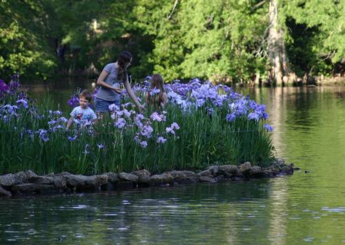 A woman and two children explore a flower-filled area by a calm lake, surrounded by lush greenery.