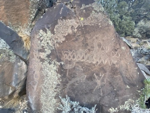 Petroglyphs carved into a large rock, featuring abstract designs and patterns, surrounded by sparse vegetation.
