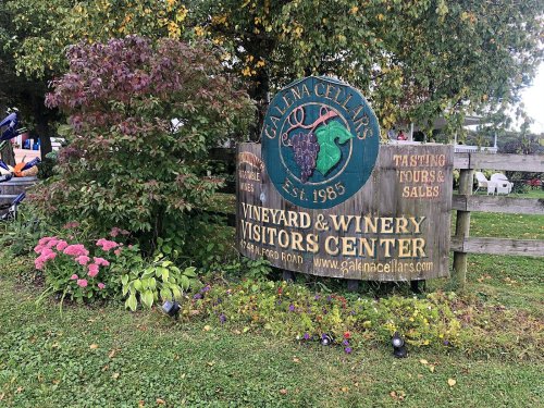 Sign for Galena Cellars Vineyard & Winery Visitors Center, featuring tasting tours and sales, surrounded by greenery.