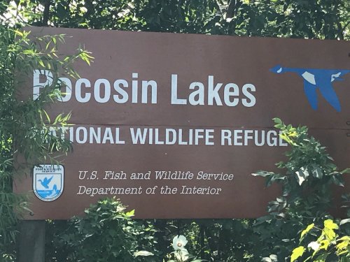 Sign for Pocosin Lakes National Wildlife Refuge, featuring the U.S. Fish and Wildlife Service logo and surrounded by greenery.