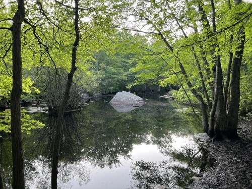 A serene pond surrounded by lush green trees, reflecting the landscape on its calm surface.