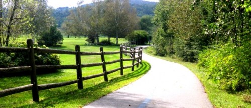 A winding path through a green landscape, bordered by a wooden fence and trees under a clear blue sky.