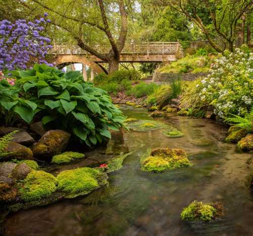 A serene garden scene featuring a stream, lush greenery, and a bridge in the background, surrounded by colorful flowers.