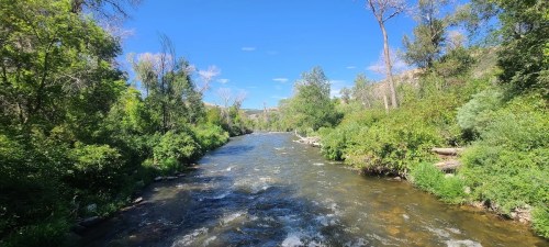 A serene river flows through lush greenery under a clear blue sky, surrounded by trees and distant hills.