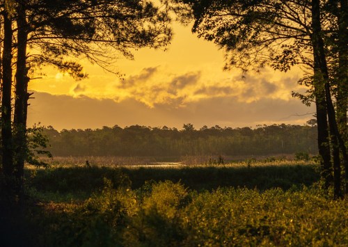 Sunset over a tranquil landscape with trees and a reflective water body, surrounded by lush greenery.