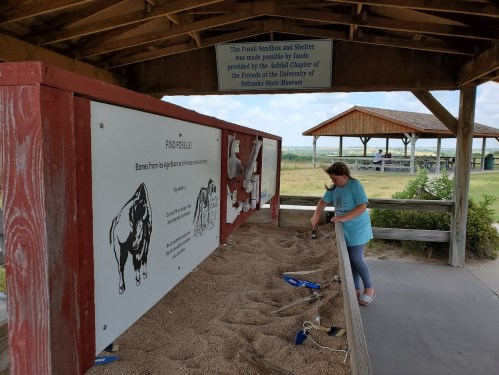 A child explores a sand pit exhibit labeled "Fossil Dig" under a shelter with educational signage.