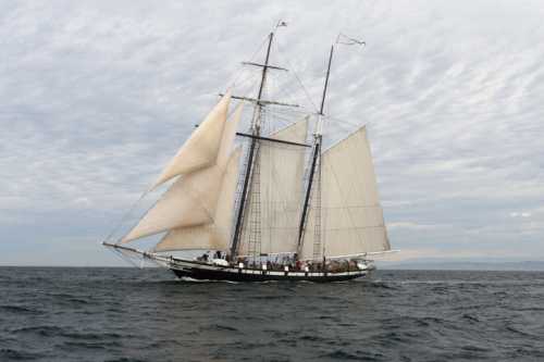 A tall ship with white sails navigates through calm waters under a cloudy sky.