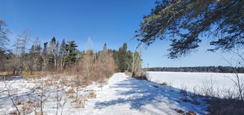 A snowy path leads through trees beside a frozen lake under a clear blue sky.