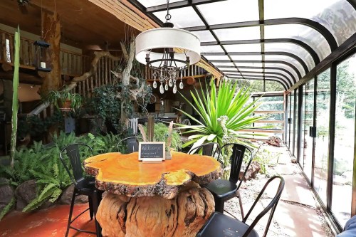 A cozy indoor space featuring a wooden table, black chairs, plants, and large windows with natural light.