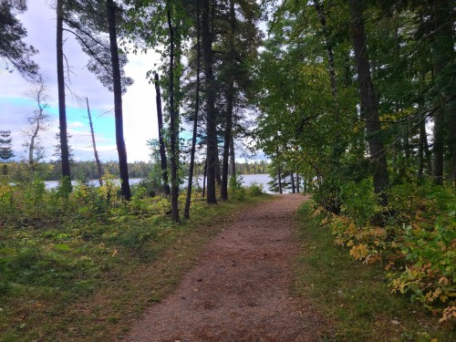 A serene path through trees leading to a calm lake, surrounded by greenery and hints of autumn colors.